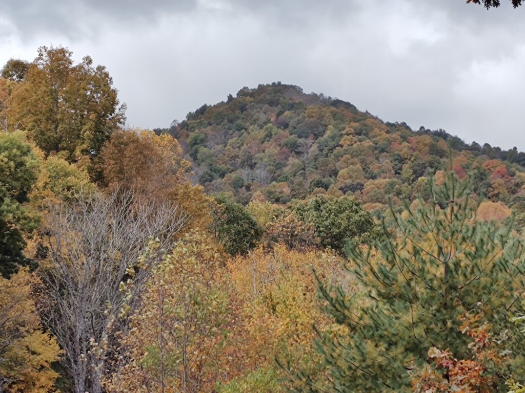 img_20231015_112341267.jpg