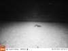 ek000114_small.jpg