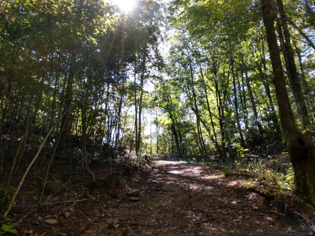 img_20190915_110109693_hdr.jpg