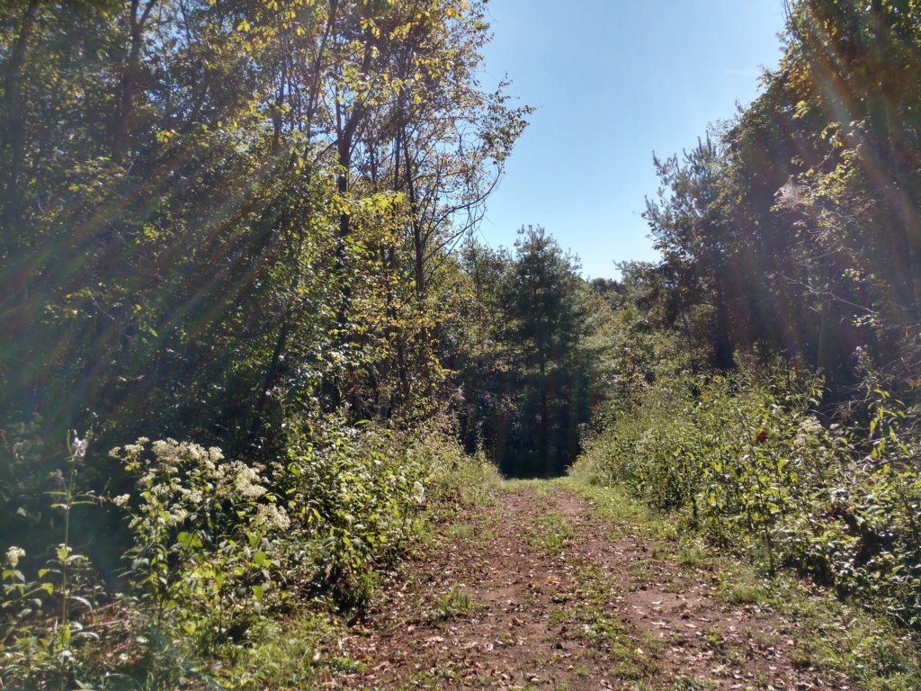 img_20190915_110326400_hdr.jpg