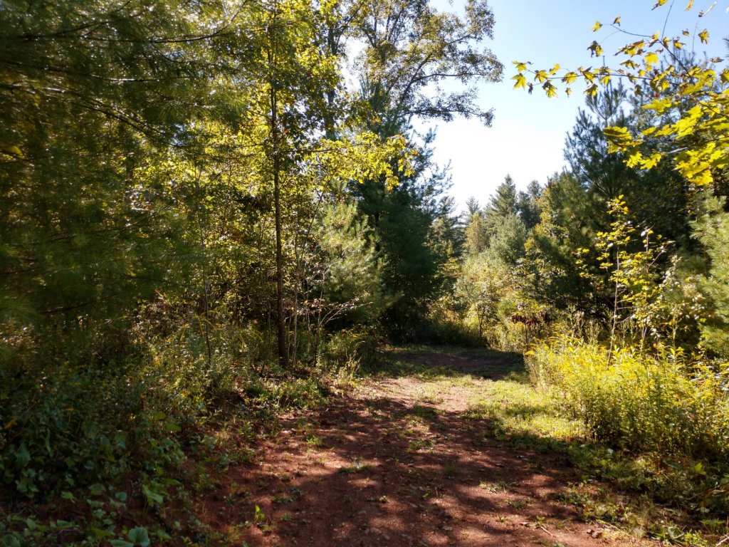 img_20190915_110421574_hdr.jpg