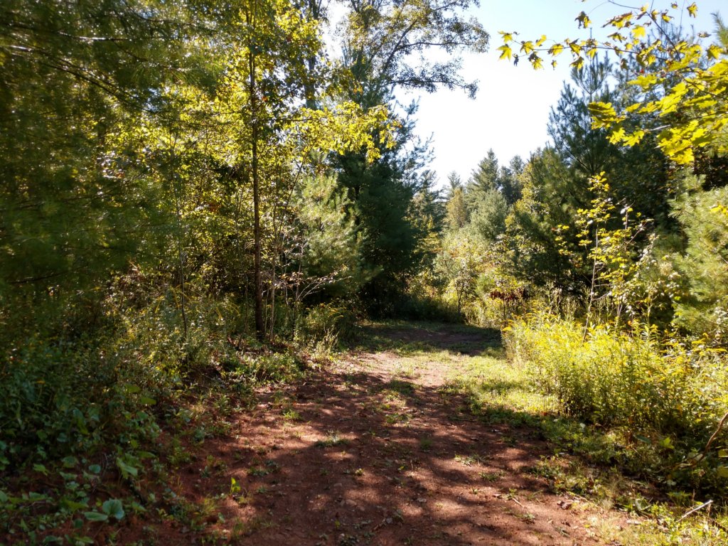 img_20190915_110424798_hdr.jpg
