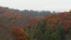 _135329_small.jpg
