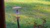 _072247_small.jpg