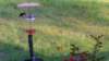 _072350_small.jpg