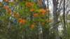 _110359_small.jpg