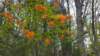 _110402_small.jpg