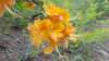 _110447_small.jpg