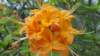 _110602_small.jpg