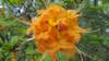 _110608_small.jpg