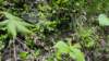 _114957_small.jpg