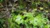_115042_small.jpg
