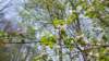 _121516_small.jpg