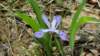 _121649_small.jpg