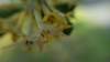_164907_small.jpg