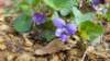 _165659_001_small.jpg