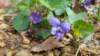 _165700_small.jpg