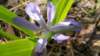 _170026_small.jpg