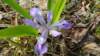 _170059_small.jpg