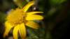 _171223_small.jpg