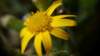 _171225_small.jpg