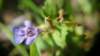 _171303_small.jpg