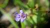 _171310_small.jpg