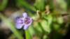 _171313_small.jpg