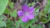 _172154_small.jpg