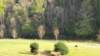 _173238_small.jpg