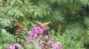 _124720_small.jpg