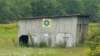_125347_small.jpg