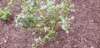 _183859_small.jpg