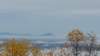 _102652_small.jpg