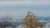 _102739_small.jpg