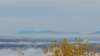 _102808_small.jpg