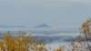 _102820_small.jpg