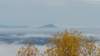 _102932_small.jpg