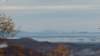 _102949_small.jpg