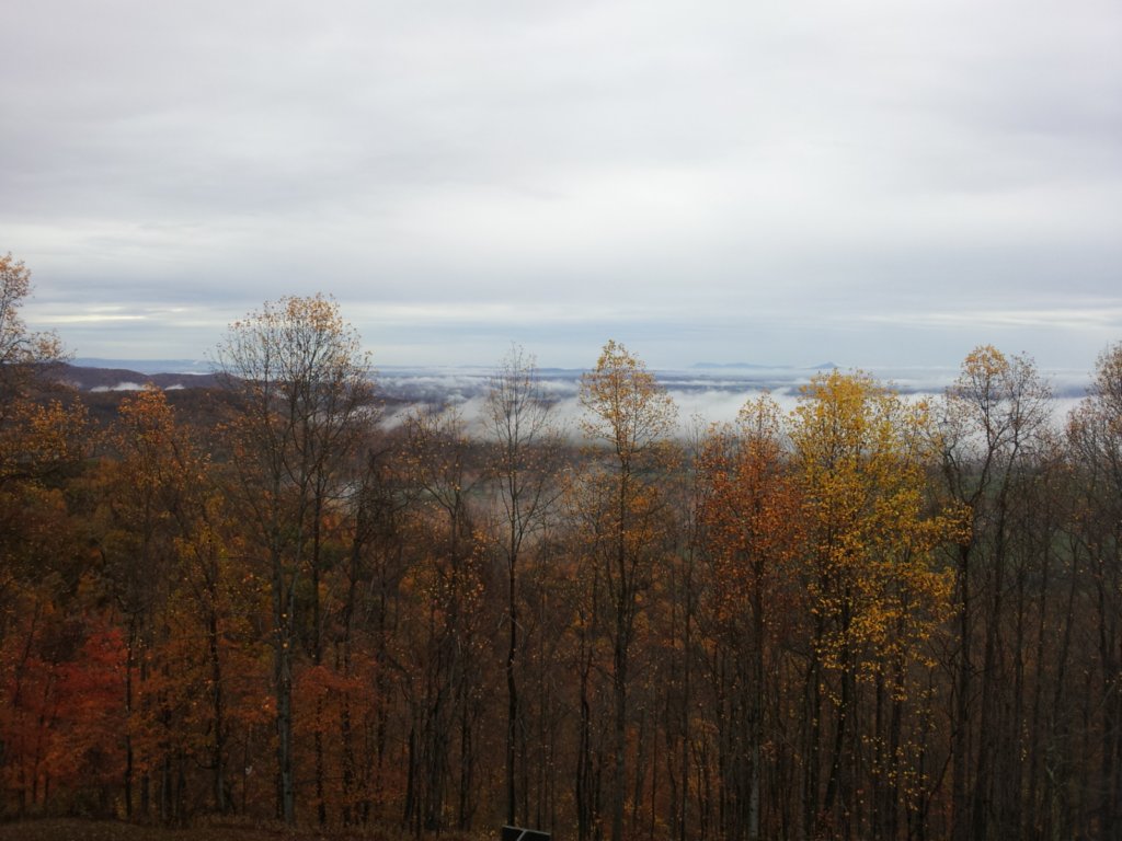 photo7.jpg