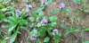 _172224_small.jpg