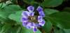 _172344_small.jpg