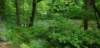 _120431_small.jpg