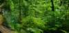 _120449_small.jpg