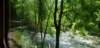 _130303_small.jpg