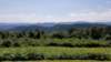 _140817_small.jpg