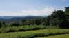_140818_small.jpg