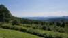 _140820_m_small.jpg
