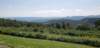 _140824_small.jpg