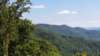 _143326_small.jpg